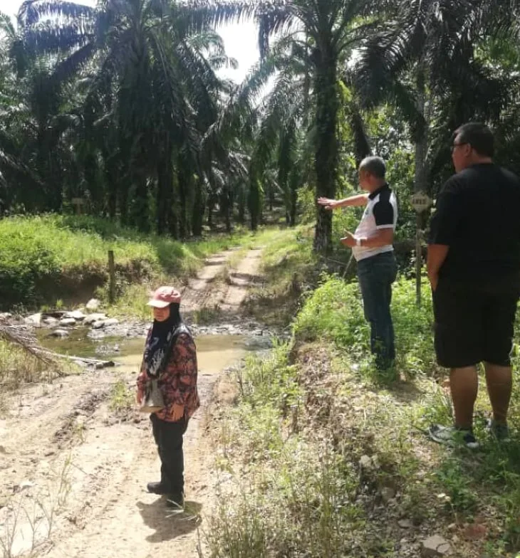 Auditors walking an estate road through oil palm during the witnessed MSPO audit in Lahad Datu, Sabah