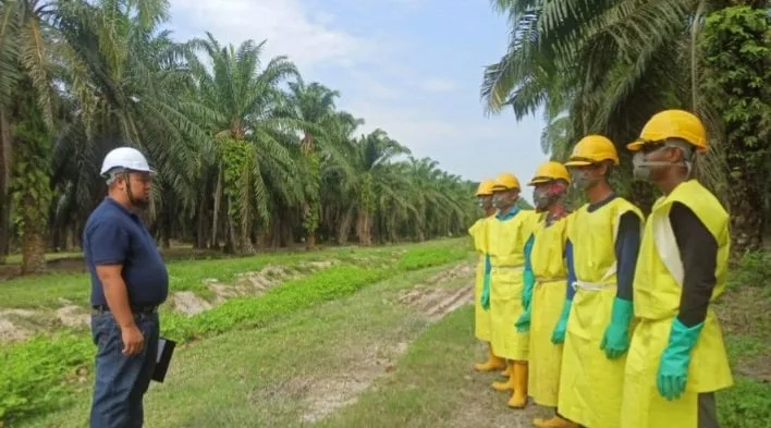 Auditor in a white helmet interviewing sprayers in yellow protective gear at a PPPNP estate